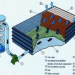 Bio MaxFace: Công Nghệ Tái Tạo Sức Sống Cho Da