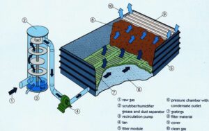 Bio MaxFace: Công Nghệ Tái Tạo Sức Sống Cho Da